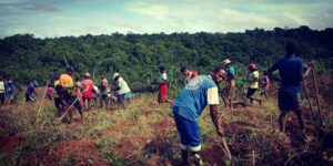 Photo of tree planters in Madagascar. Credit: Fidy Ratovoson