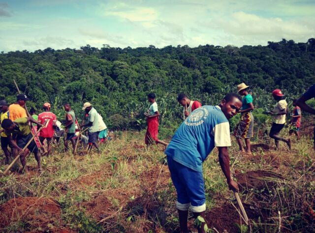 Photo of tree planters in Madagascar. Credit: Fidy Ratovoson