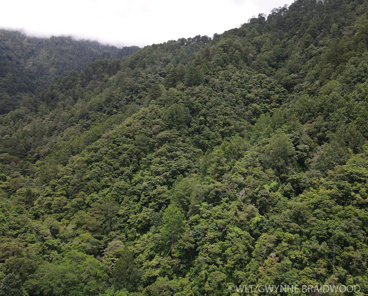 A view of the a valley in the Trifinio corridor, Honduras