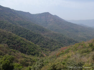 A view of the Western Ghats, India.