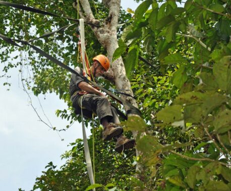 A photography of Ken Krank from HUTAN's Kinabantangan Orangutan Conservation Project (KOCP) assisting with the construction of a rope bridge for Orangutans. Credit: Felicity Oram