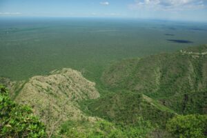 An aerial photography of the Dry Chaco forest, Argentina. Credit: Juan/FBA