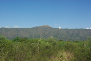 A photography of Argentina's Dry Chaco forest with mountains in the background. Credit: