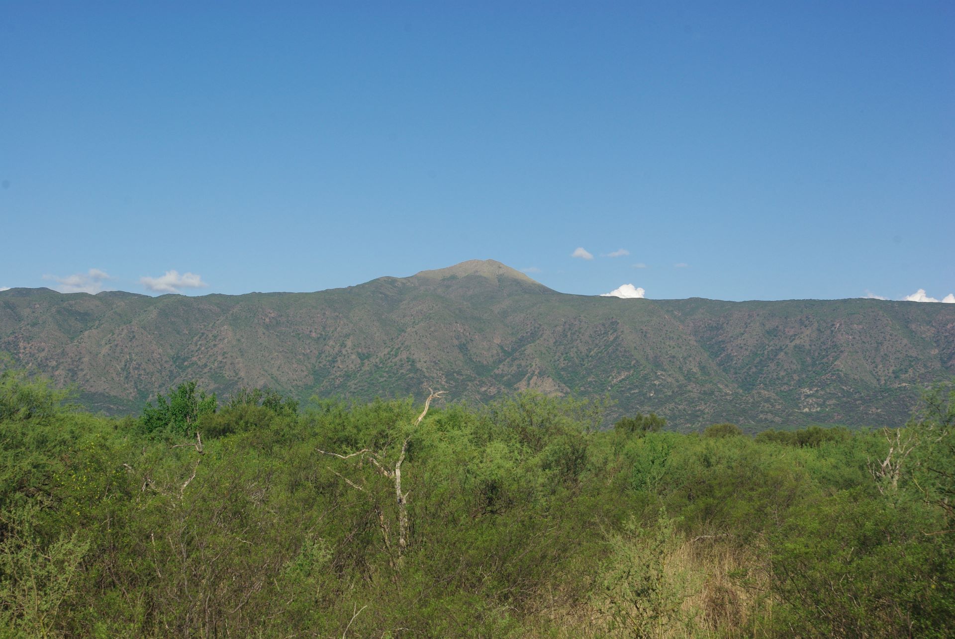 A photography of Argentina's Dry Chaco forest with mountains in the background. Credit: Juan/FBA