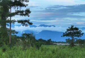Clouds roll over the green leafy landscape of the Brahmaputra Valley