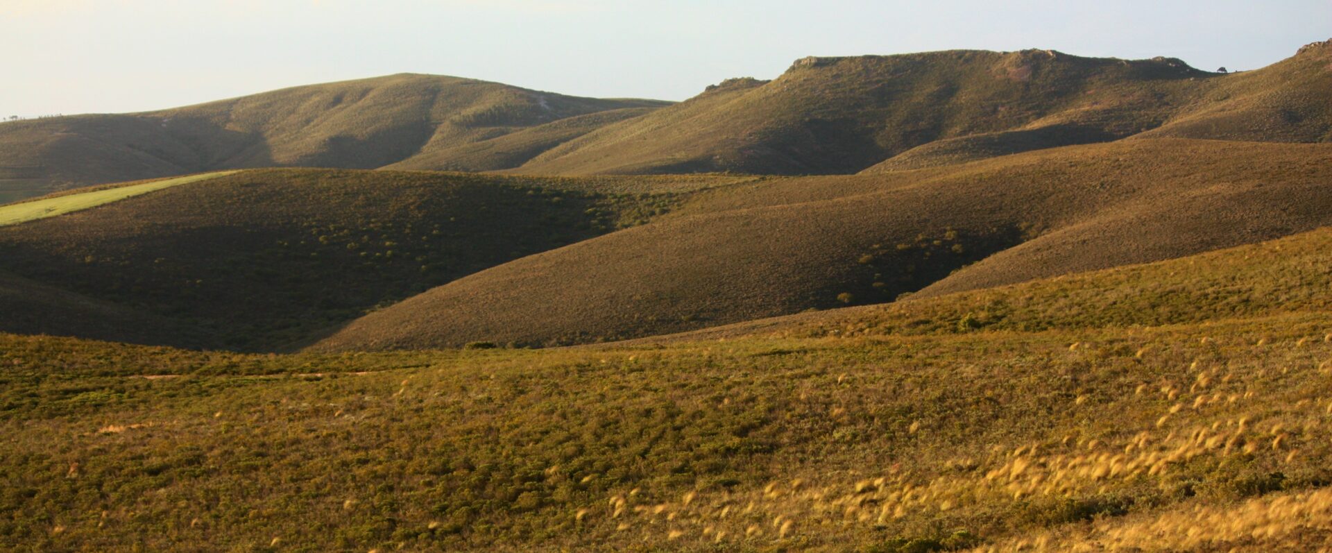 Rolling hills of muted brown vegetation