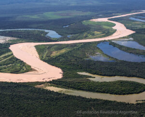 Aerial view of El Impenetrable, Argentina