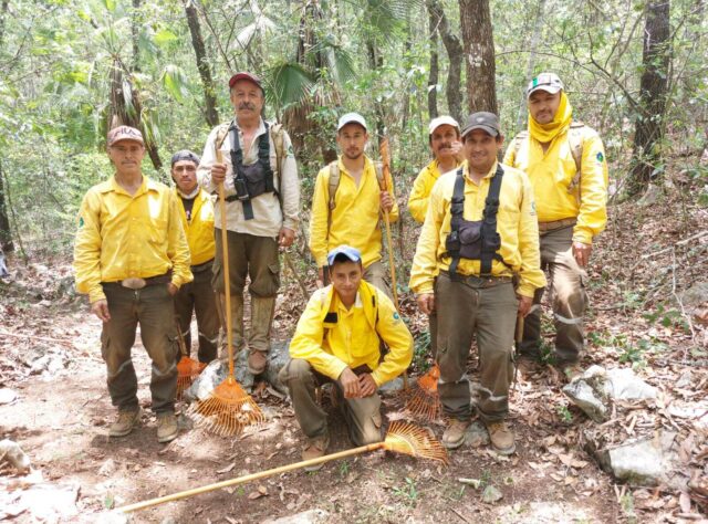 A group of rangers standing together in the forest of the Sierra Gorda reserve in Mexico.