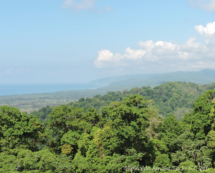 A view of the Osa peninsula, Costa Rica