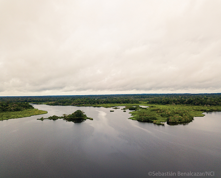 Panoramic river view, Salida Orellana, Ecuador