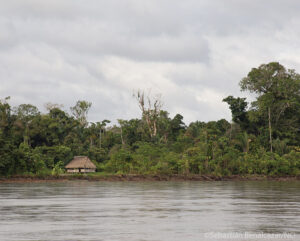 Indigenous dwelling on the riverbank, Orellana