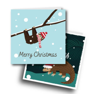 Christmas Cards by Molly Emerson