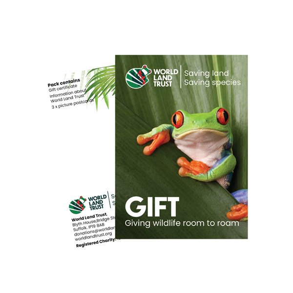 WLT Secret Santa Gift