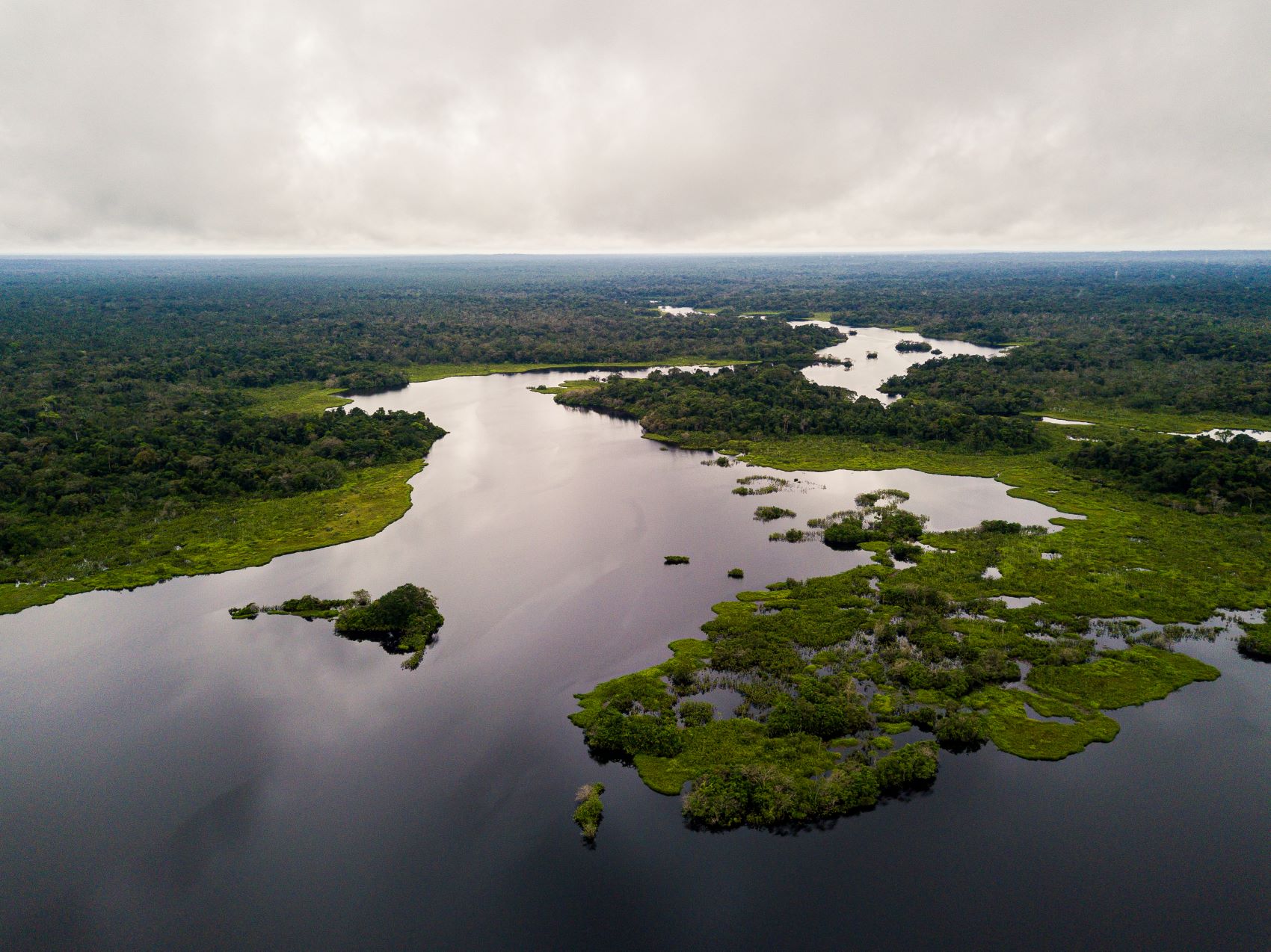 Aerial photo of the Ecuadorian Amazon, showing the forest and rivers. Credit: Sebastián Benalcazar/Nature and Culture International