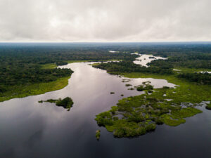 Aerial view of Orellana