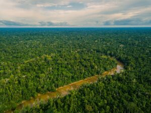 An expansive aerial photograph showing the vast intact forests of Orellana province with a river winding through.