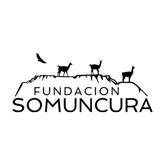 Fundación Somuncura