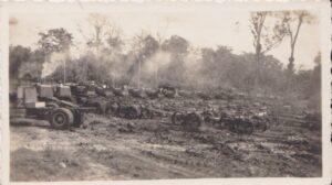 A sepia photo of the view behind many tractors lined up showing the log carriages used to transport logs from the point at which they were felled to the timber train, which would then take them onwards to the logging headquarters at Hill Bank. Photo from around 1946-1948