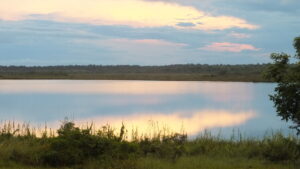 A photograph of early morning on the New River Lagoon, Hill Bank Field Station