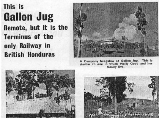 A newspaper clipping showing Gallon Jug in the 1940s, a timber camp that is now a private reserve, eco-lodge and organic food producer that borders Programme for Belize’s (PfB) Rio Bravo Conservation Management Area