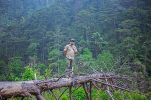 Forest ranger standing on trunk of fallen tree, surrounding by cloud forest trees and foliage.