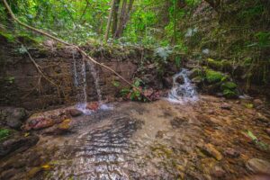micro-basin in Honduras cloud forest