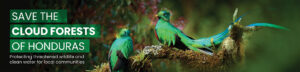 Save the Cloud Forests of Honduras