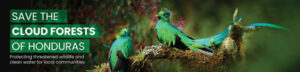 Save the Cloud Forests of Honduras