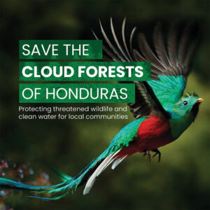 Save the Cloud Forests of Honduras