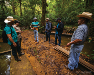 Rangers and community members standing next to a watercourse in the forest