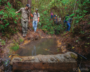 View of a managed watercourse in an AESMO project area