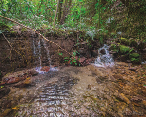 View of a watercourse in an AESMO project area