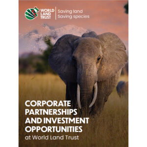 Corporate Partnerships and Investment Opportunities