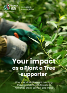 Plant a Tree impact report