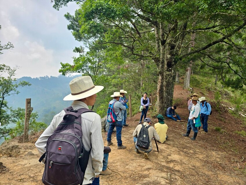 group of community members gathered together by a tree overlooking a view of the Honduran cloud forests