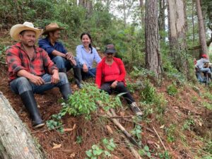 four community members sitting together on a grassy bank in the cloud forest