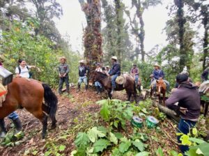 gathering of people, some standing and some on horseback, surrounded by trees in the Honduran cloud forest