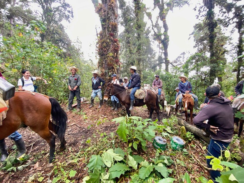 gathering of people, some standing and some on horseback, surrounded by trees in the Honduran cloud forest