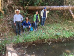Four people standing at the side of a micro-basin in the Honduran forest.