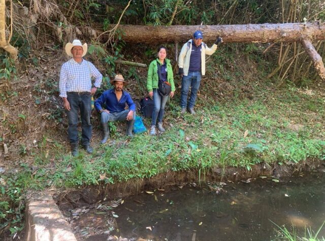 Four people standing at the side of a micro-basin in the Honduran forest.