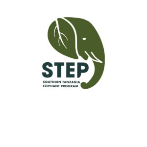 STEP logo