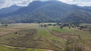 landscape of the Nyerere-Udzungwa Wildlife Corridor in Tanzania.