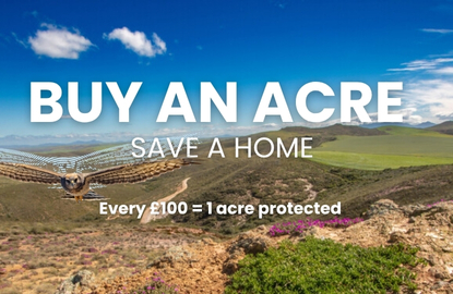 Buy an Acre