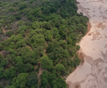 Drone view of Dry Chaco Forest meeting a sandy plain