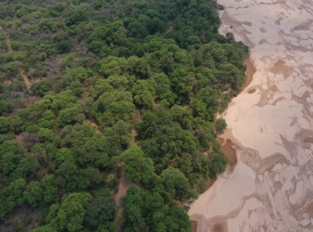 Drone view of Dry Chaco Forest meeting a sandy plain