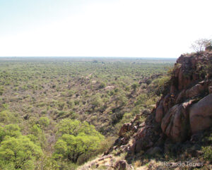 A view of Traslasierra National Park, Argentina