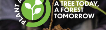 Plant a Tree