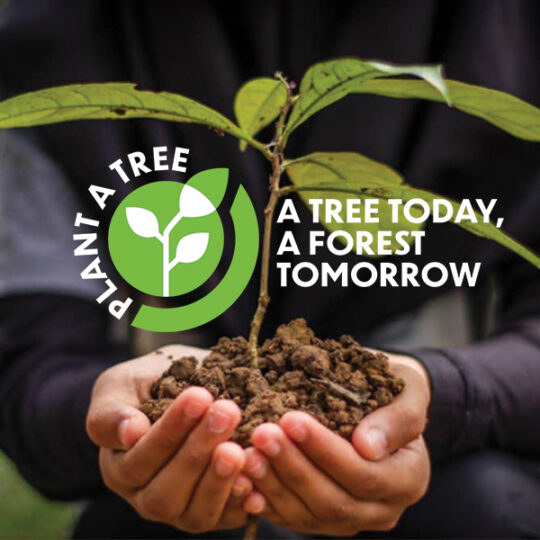 Plant a Tree