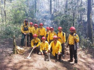 rangers standing together in the forest in fire fighting gear