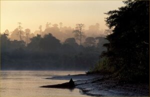 Kinabatangan forest, Borneo, at sunset